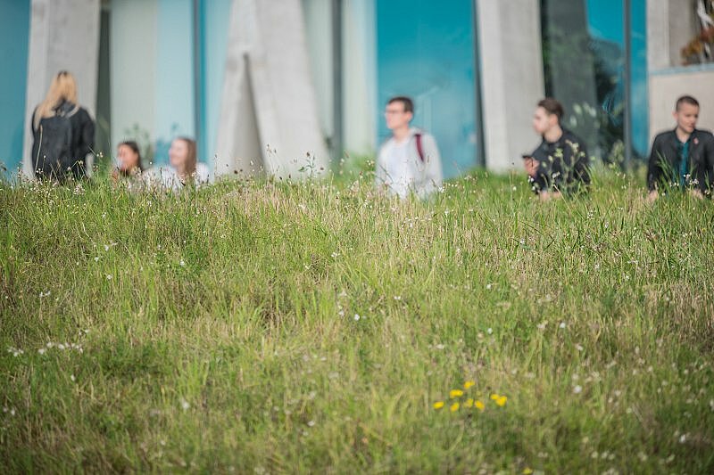 Rūpēs par bioloģisko daudzveidību Latvijas Universitāte uzskaitīs un kartēs sugas pilsētvidē 