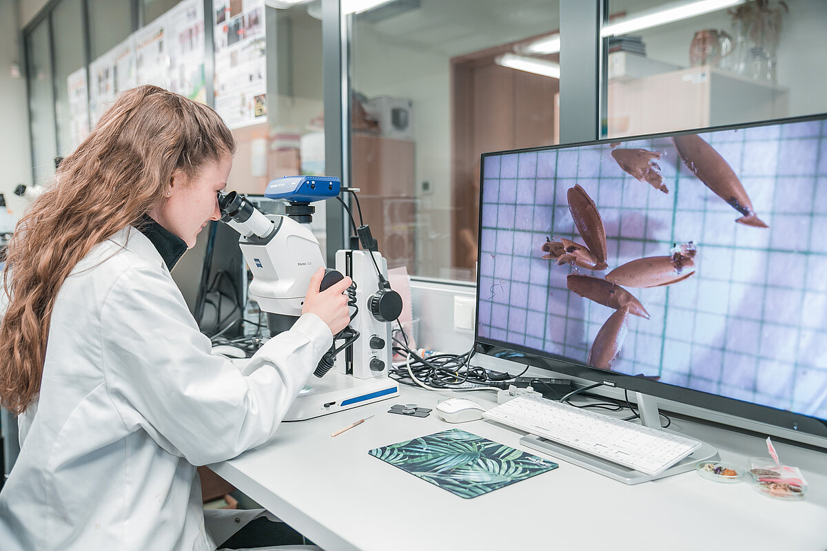 Pētniecība Latvijas Universitātes Ģeogrāfijas un Zemes zinātņu fakultātē. © Toms Grīnbergs, 2023.